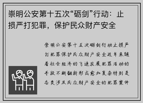 崇明公安第十五次“砺剑”行动：止损严打犯罪，保护民众财产安全