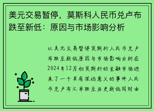 美元交易暂停，莫斯科人民币兑卢布跌至新低：原因与市场影响分析