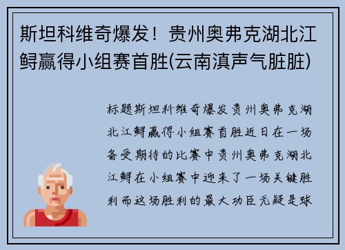 斯坦科维奇爆发！贵州奥弗克湖北江鲟赢得小组赛首胜(云南滇声气脏脏)
